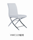 HWC119